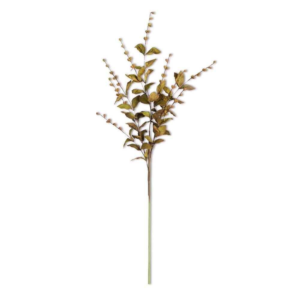 8943 16495A-BR 30 Inch Brown European Beech Stem